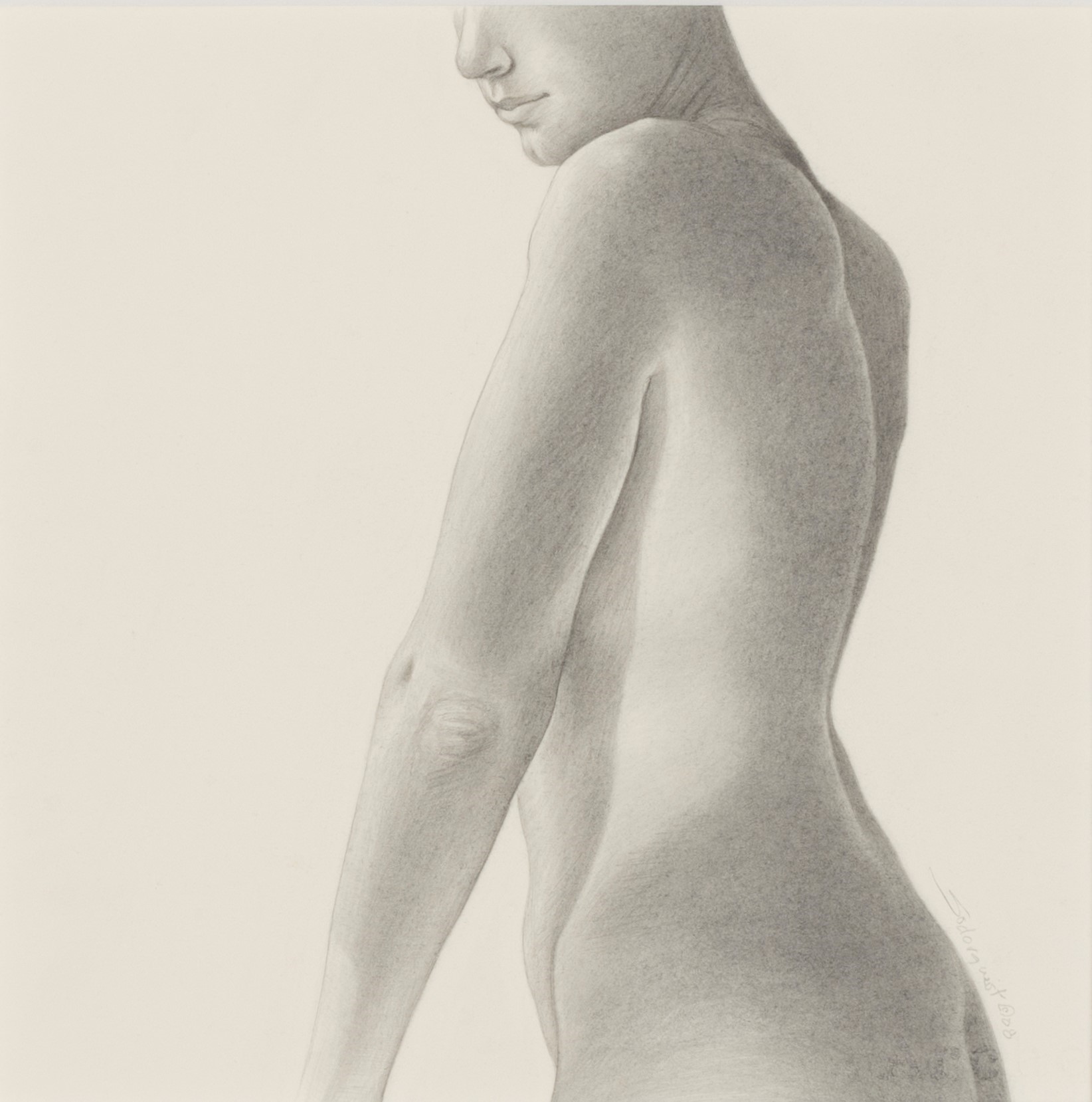 Image of a 2008 graphite on paper drawing of a figure's torso from the side